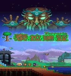泰拉瑞亚毕业装备存档