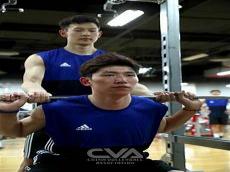 中国男排身高一览表