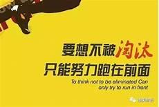 每日积累句子