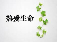 热爱生命敬畏自然的佳句