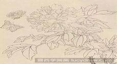 假画蝴蝶的方法
