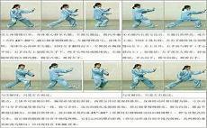 杨氏太极拳24式图解